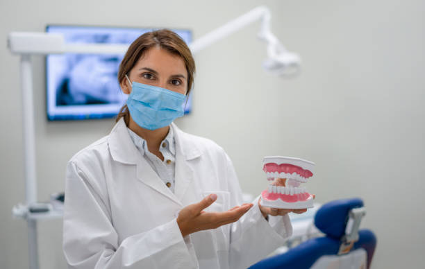 Best Chipped Tooth Repair Near Me  in Lake Magdalene, FL